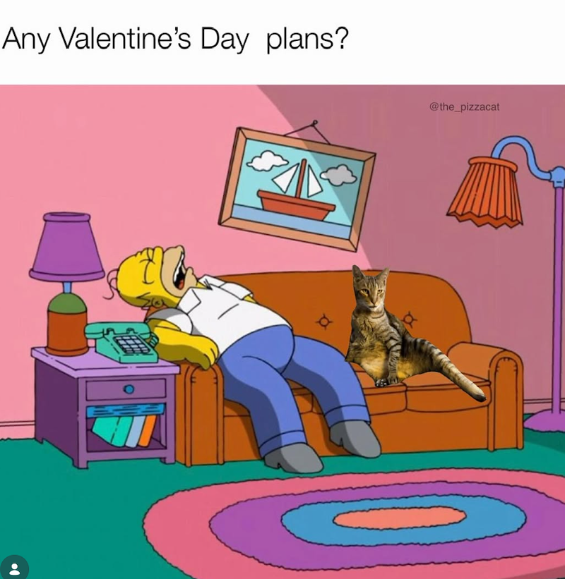 Any Valentine's Day plans? @the_pizzacat