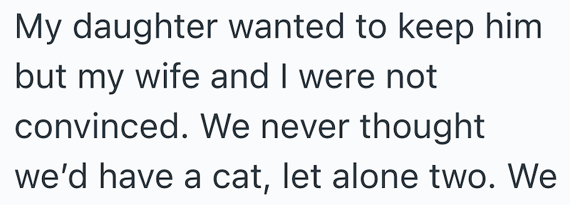 My daughter wanted to keep him but my wife and I were not convinced. We never thought we'd have a cat, let alone two. We