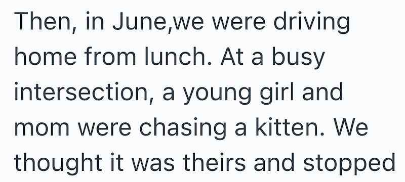 Then, in June,we were driving home from lunch. At a busy intersection, a young girl and mom were chasing a kitten. We thought it was theirs and stopped