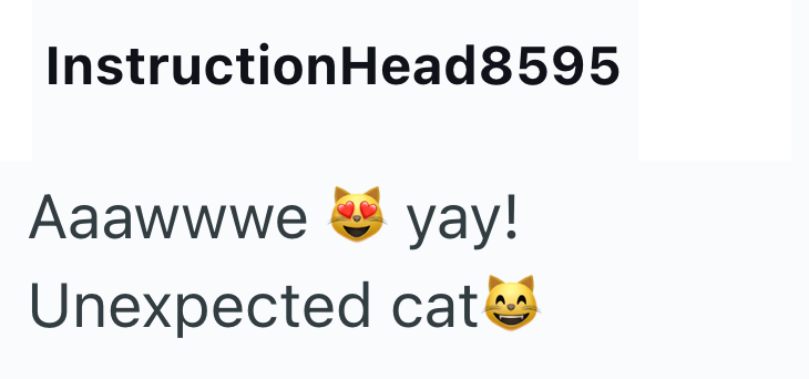 InstructionHead8595 Aaawwwe yay! Unexpected cate