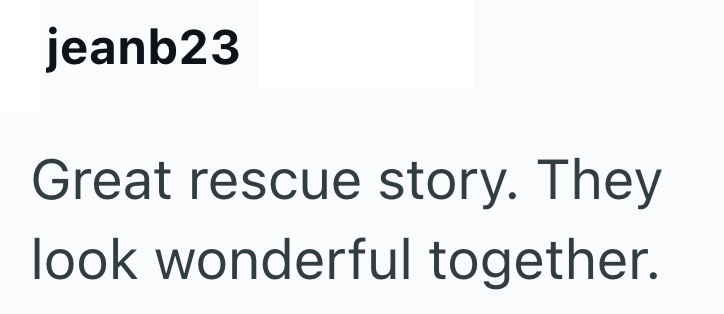 jeanb23 Great rescue story. They look wonderful together.