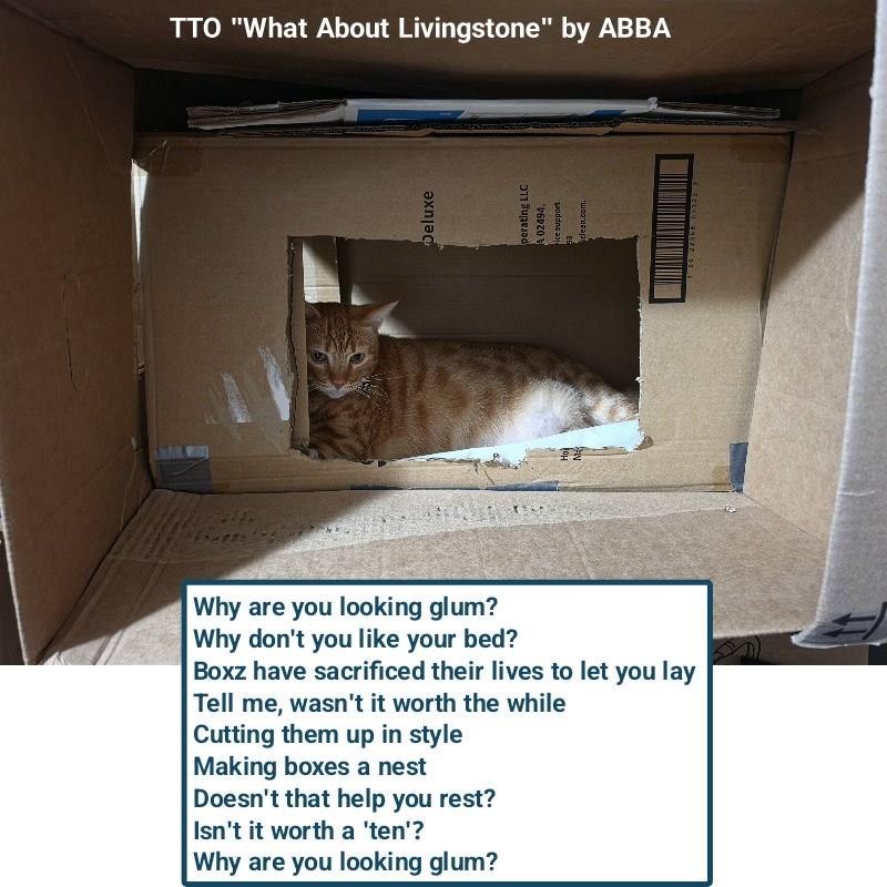 TTO "What About Livingstone" by ABBA Deluxe TY Why are you looking glum? Why don't you like your bed? Boxz have sacrificed their lives to let you lay Tell me, wasn't it worth the while Cutting them up in style Making boxes a nest Doesn't that help you rest? Isn't it worth a 'ten'? Why are you looking glum? perating LLC A 02494. pice support clean.com.