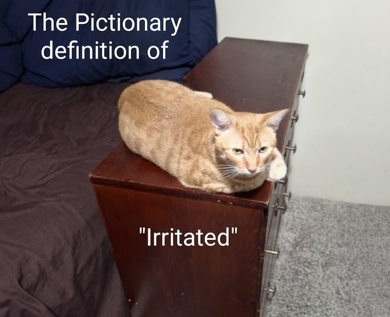 The Pictionary definition of "Irritated"