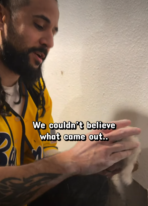We couldn't believe what came out..