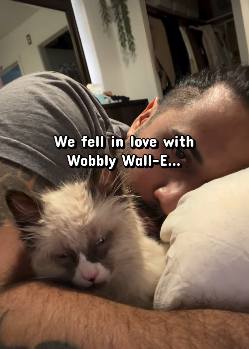 B We fell in love with Wobbly Wall-E...