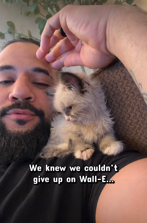 We knew we couldn't give up on Wall-E...