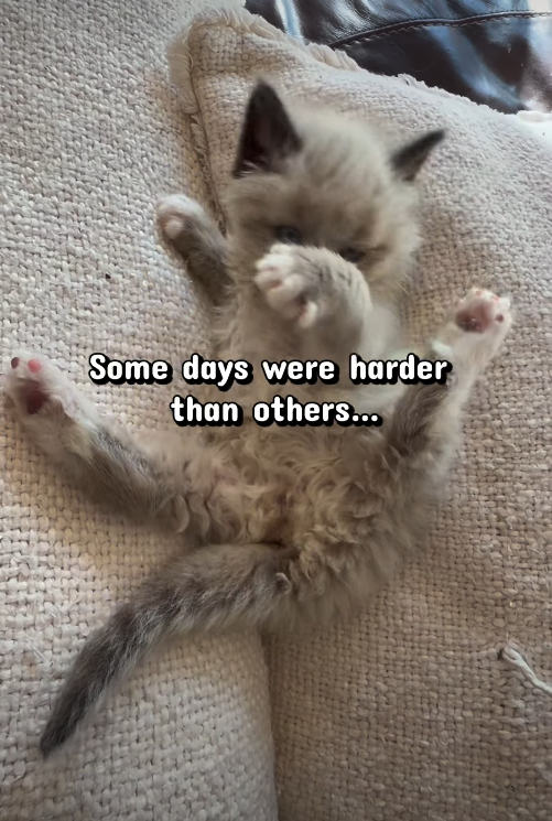 Some days were harder than others...