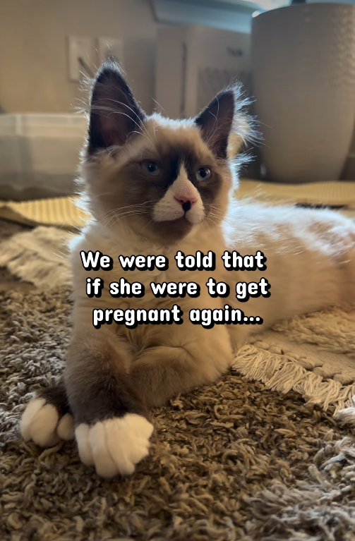 We were told that if she were to get pregnant again...
