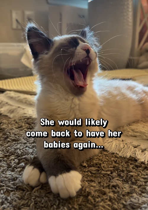 N She would likely come back to have her babies again...