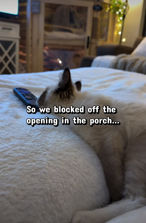 So we blocked off the opening in the porch...