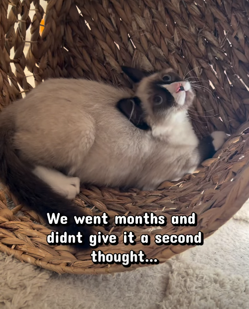 We went months and didnt give it a second thought...