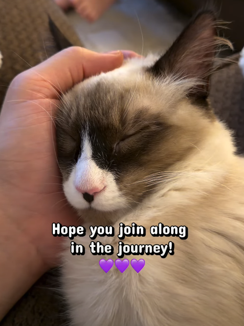 Hope you join along in the journey!
