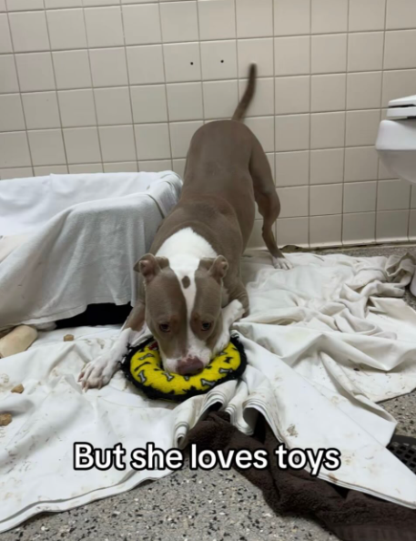 . . But she loves toys