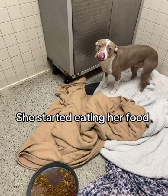 She started eating her food
