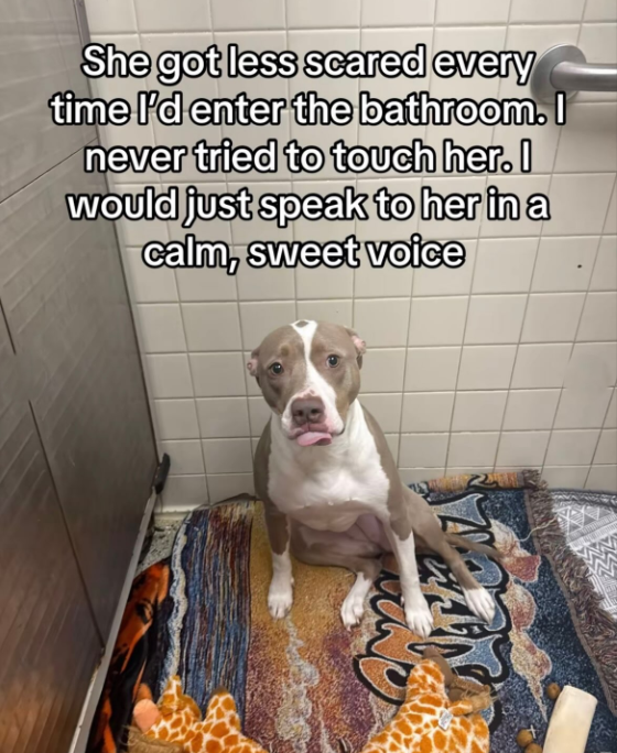 She got less scared every time I'd enter the bathroom. I never tried to touch her. I would just speak to her in a calm, sweet voice