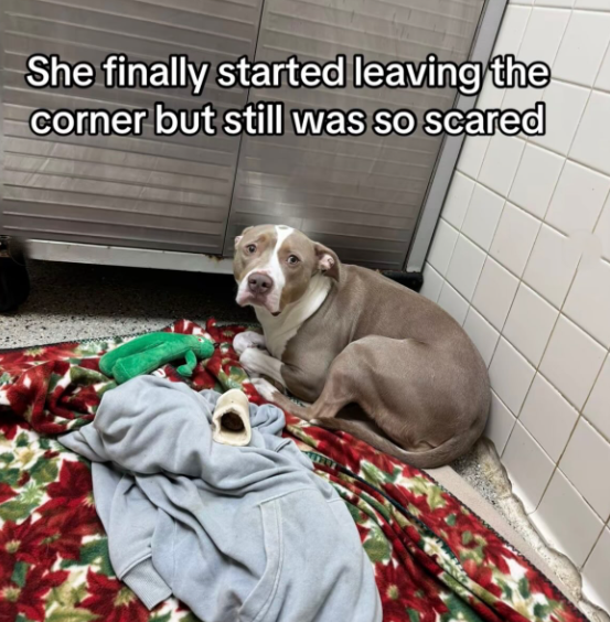 She finally started leaving the corner but still was so scared