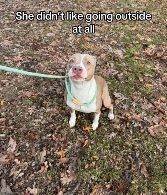 She didn't like going outside at all