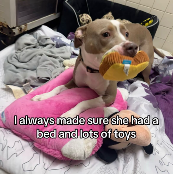 I always made sure she had a bed and lots of toys