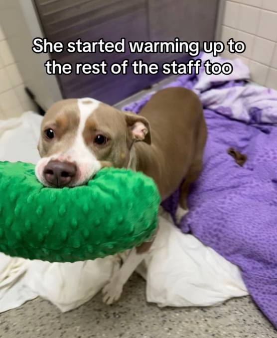 She started warming up to the rest of the staff too
