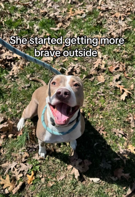 She started getting more brave outside