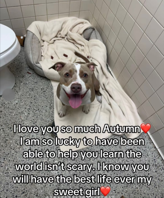 I love you so much Autumn I am so lucky to have been able to help you learn the world isn't scary. I know you will have the best life ever my sweet girl
