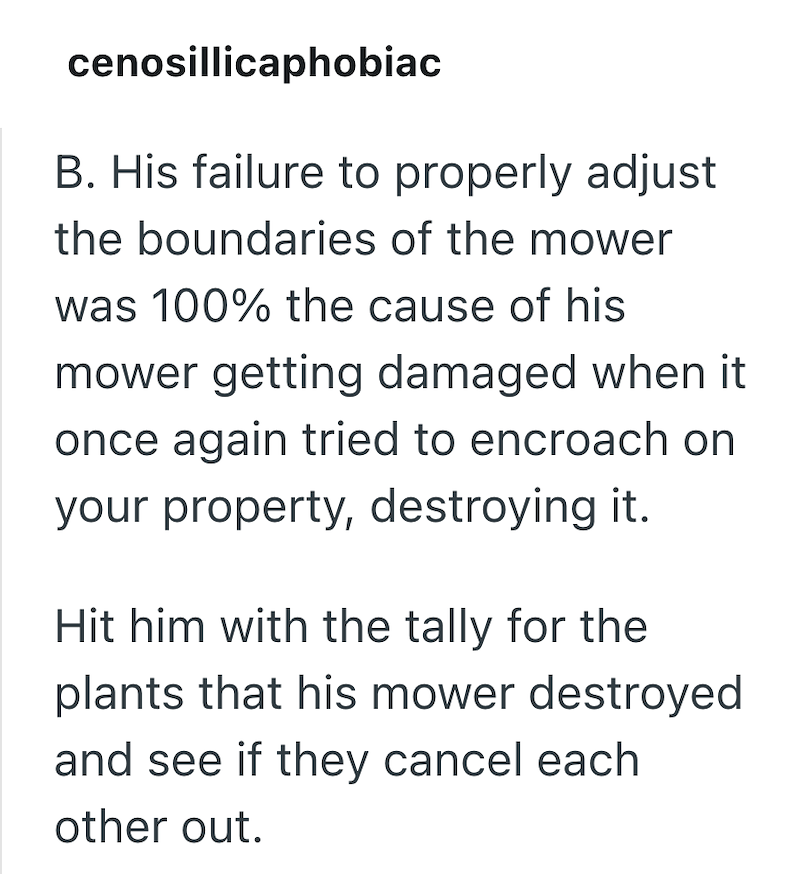cenosillicaphobiac B. His failure to properly adjust the boundaries of the mower was 100% the cause of his mower getting damaged when it once again tried to encroach on your property, destroying it. Hit him with the tally for the plants that his mower destroyed and see if they cancel each other out.