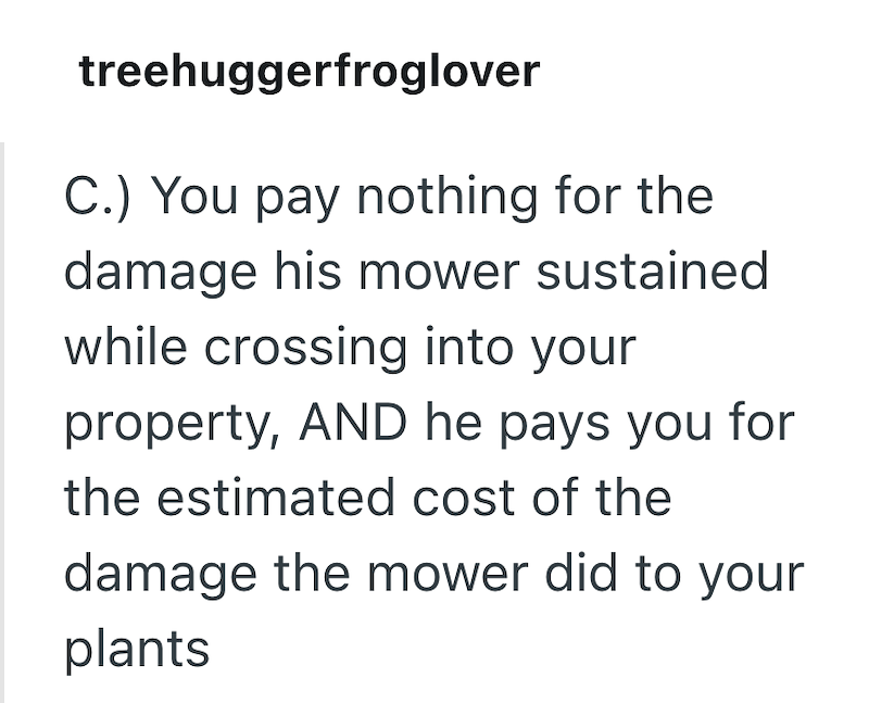treehuggerfroglover C.) You pay nothing for the damage his mower sustained while crossing into your property, AND he pays you for the estimated cost of the damage the mower did to your plants