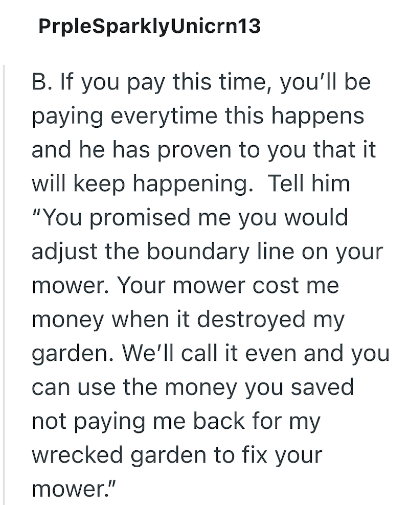 PrpleSparklyUnicrn13 B. If you pay this time, you'll be paying everytime this happens and he has proven to you that it will keep happening. Tell him "You promised me you would. adjust the boundary line on your mower. Your mower cost me money when it destroyed my garden. We'll call it even and you can use the money you saved not paying me back for my wrecked garden to fix your mower."