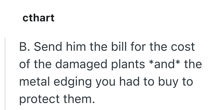 cthart B. Send him the bill for the cost of the damaged plants *and* the metal edging you had to buy to protect them.