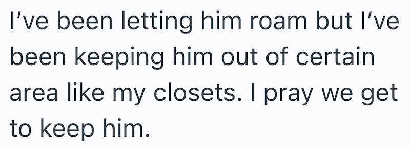 I've been letting him roam but I've been keeping him out of certain area like my closets. I pray we get to keep him.