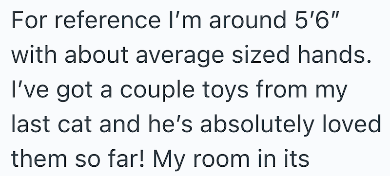 For reference I'm around 5'6" with about average sized hands. I've got a couple toys from my last cat and he's absolutely loved them so far! My room in its