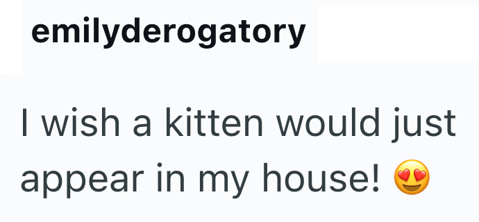 emilyderogatory I wish a kitten would just appear in my house!