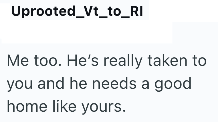 Uprooted_Vt_to_RI Me too. He's really taken to you and he needs a good home like yours.