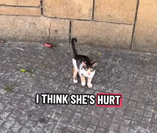 I THINK SHE'S HURT
