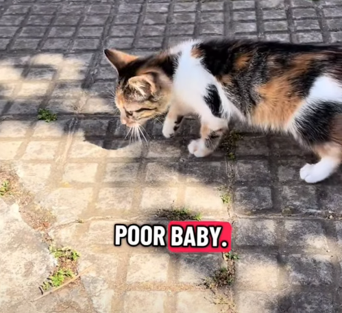 POOR BABY.