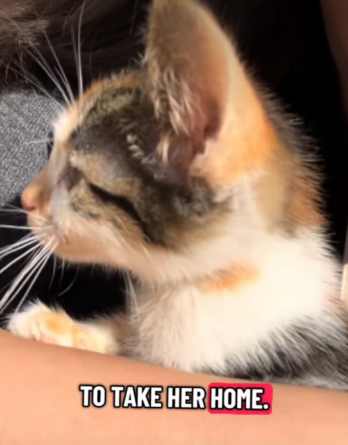 TO TAKE HER HOME.