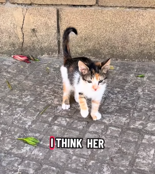 I THINK HER