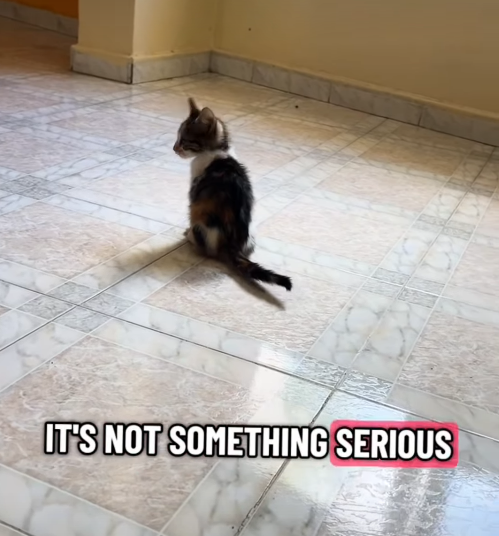IT'S NOT SOMETHING SERIOUS