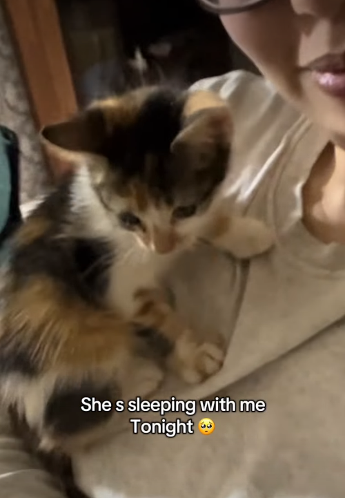 She s sleeping with me Tonight