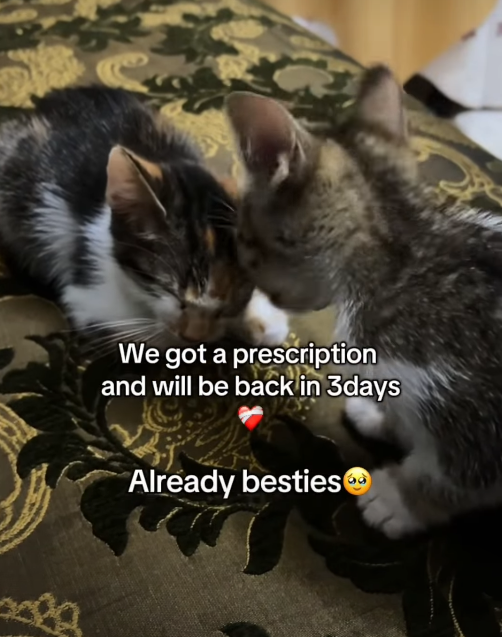 We got a prescription and will be back in 3days Already besties