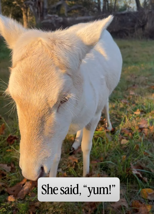 She said, "yum!"