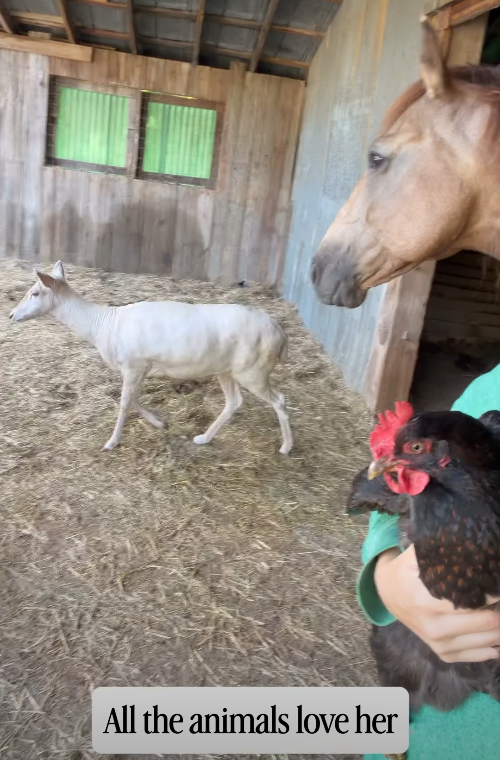 All the animals love her