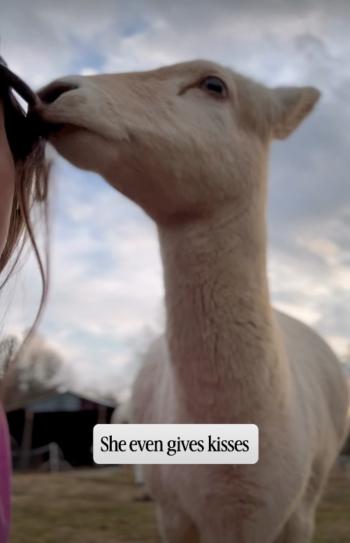 She even gives kisses