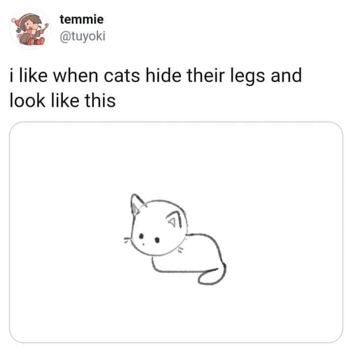 temmie @tuyoki i like when cats hide their legs and look like this