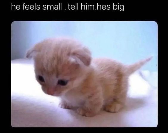 he feels small. tell him.hes big