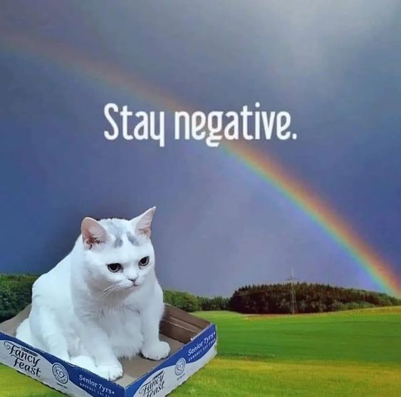 Fancy Feast Senior 7yrs www Stay negative. Senior Tyrs