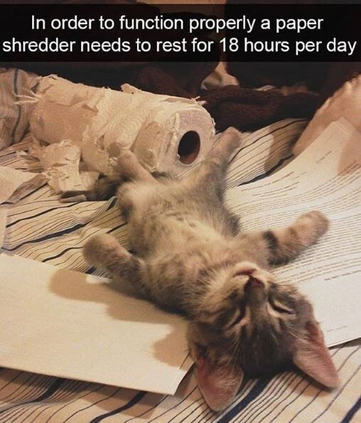 In order to function properly a paper shredder needs to rest for 18 hours per day