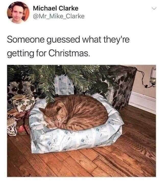 Michael Clarke @Mr_Mike_Clarke Someone guessed what they're getting for Christmas.