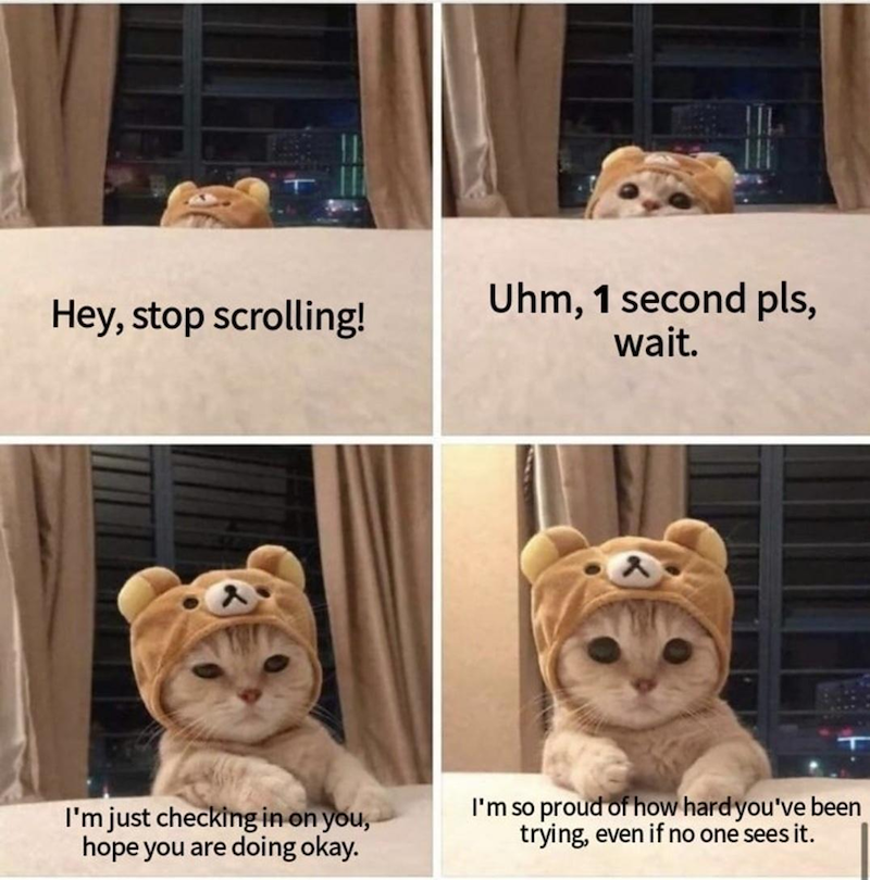Hey, stop scrolling! I'm just checking in on you, hope you are doing okay. Uhm, 1 second pls, wait. I'm so proud of how hard you've been trying, even if no one sees it.