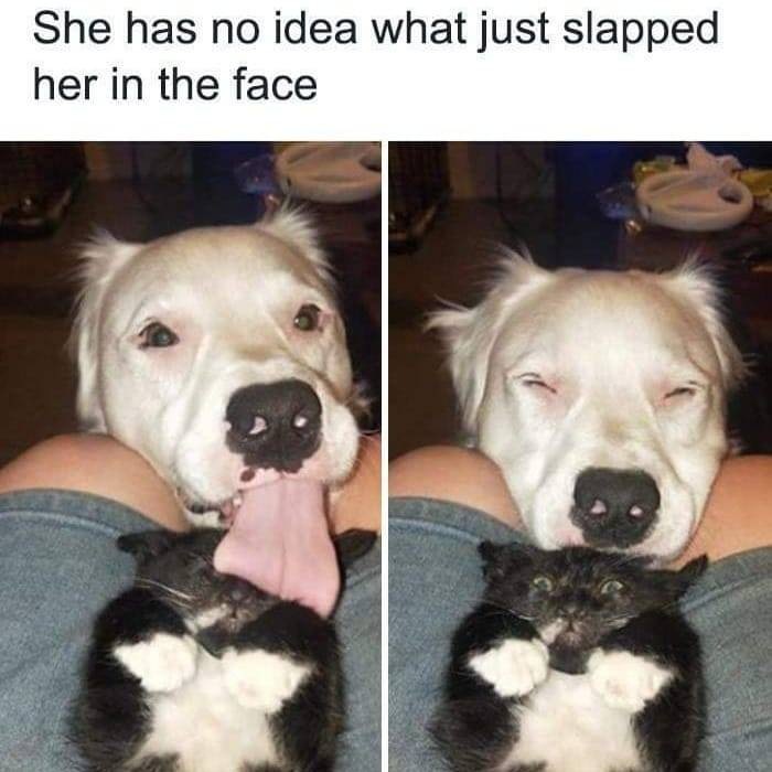 She has no idea what just slapped her in the face
